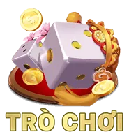 Thanh Toán Nhanh Chóng S666 VE